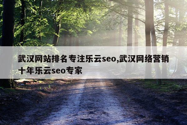 武汉网站排名专注乐云seo,武汉网络营销十年乐云seo专家