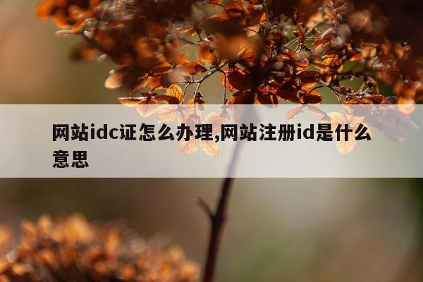 网站idc证怎么办理,网站注册id是什么意思