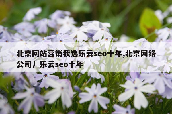 北京网站营销我选乐云seo十年,北京网络公司丿乐云seo十年