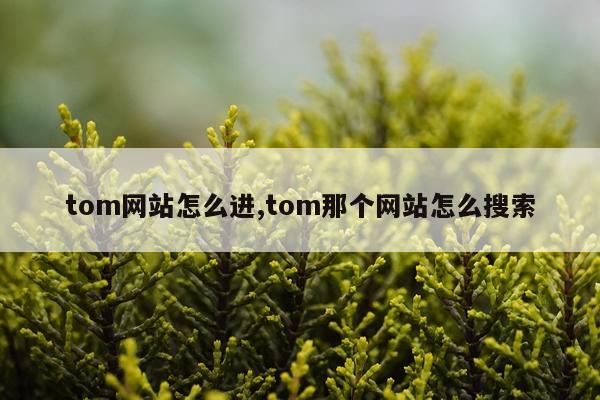 tom网站怎么进,tom那个网站怎么搜索