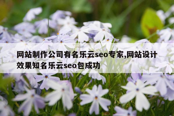 网站制作公司有名乐云seo专家,网站设计效果知名乐云seo包成功