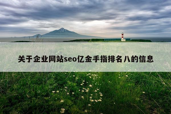 关于企业网站seo亿金手指排名八的信息