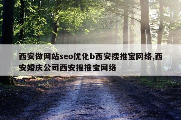 西安做网站seo优化b西安搜推宝网络,西安婚庆公司西安搜推宝网络