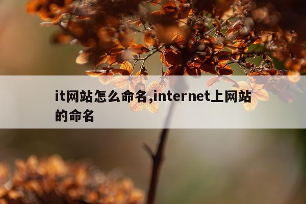 it网站怎么命名,internet上网站的命名