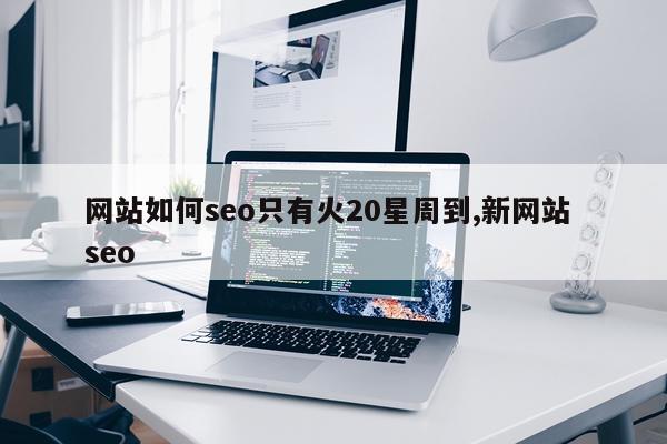 网站如何seo只有火20星周到,新网站 seo