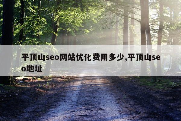 平顶山seo网站优化费用多少,平顶山seo地址