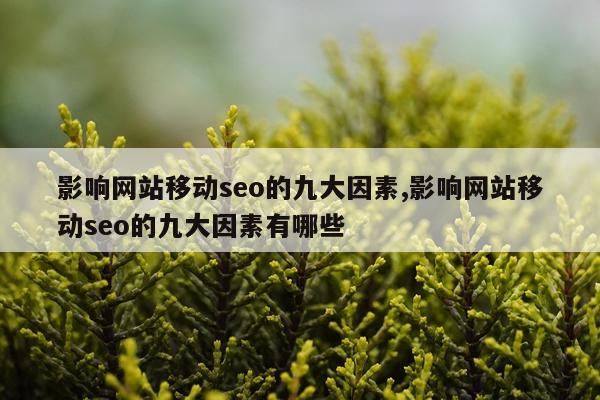 影响网站移动seo的九大因素,影响网站移动seo的九大因素有哪些