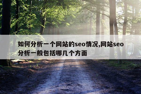 如何分析一个网站的seo情况,网站seo分析一般包括哪几个方面