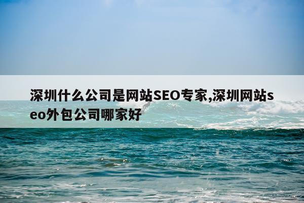 深圳什么公司是网站SEO专家,深圳网站seo外包公司哪家好