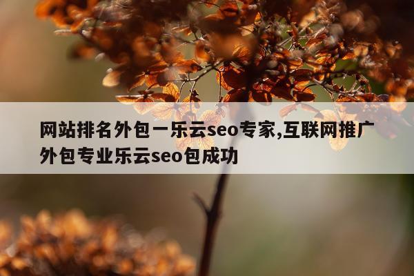 网站排名外包一乐云seo专家,互联网推广外包专业乐云seo包成功