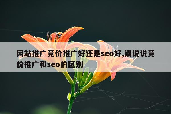 网站推广竞价推广好还是seo好,请说说竞价推广和seo的区别