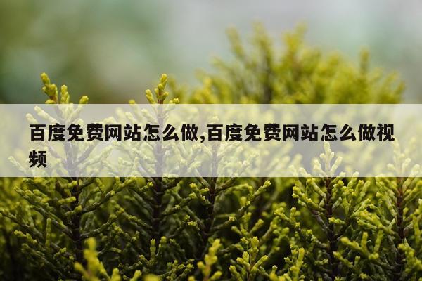 百度免费网站怎么做,百度免费网站怎么做视频