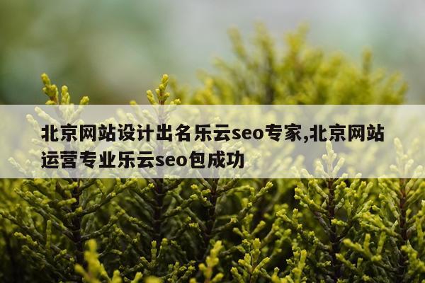 北京网站设计出名乐云seo专家,北京网站运营专业乐云seo包成功