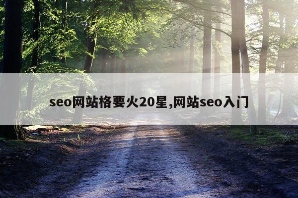 seo网站格要火20星,网站seo入门