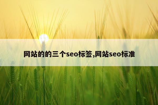 网站的的三个seo标签,网站seo标准