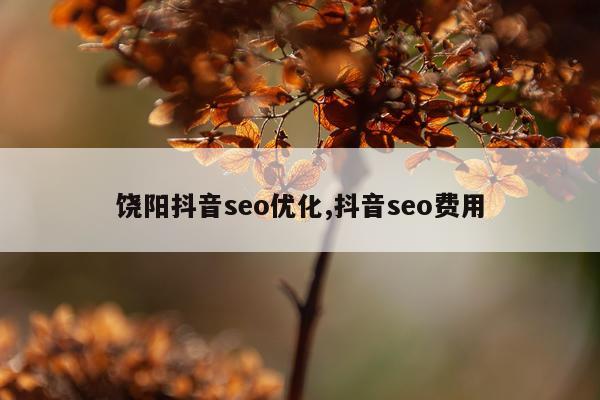 饶阳抖音seo优化,抖音seo费用