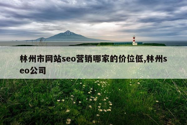 林州市网站seo营销哪家的价位低,林州seo公司