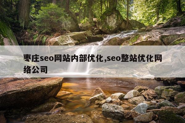 枣庄seo网站内部优化,seo整站优化网络公司