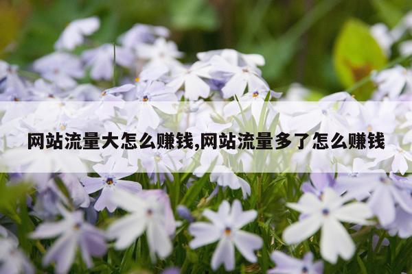 网站流量大怎么赚钱,网站流量多了怎么赚钱