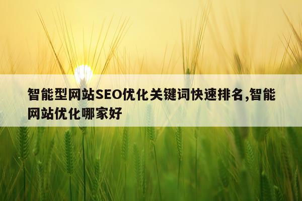 智能型网站SEO优化关键词快速排名,智能网站优化哪家好