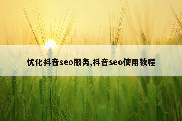 优化抖音seo服务,抖音seo使用教程