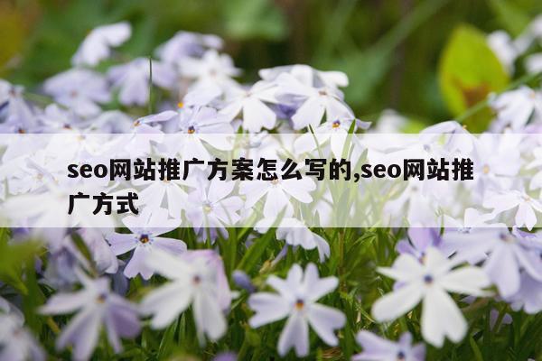 seo网站推广方案怎么写的,seo网站推广方式