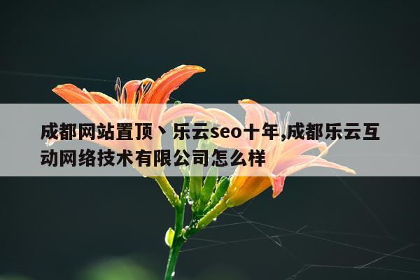 成都网站置顶丶乐云seo十年,成都乐云互动网络技术有限公司怎么样