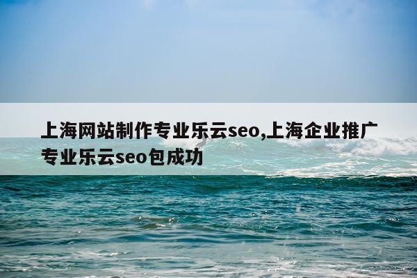 上海网站制作专业乐云seo,上海企业推广专业乐云seo包成功
