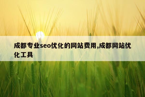 成都专业seo优化的网站费用,成都网站优化工具