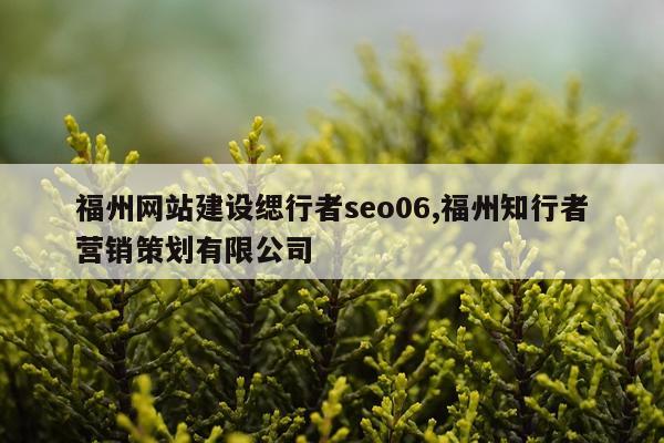 福州网站建设缌行者seo06,福州知行者营销策划有限公司