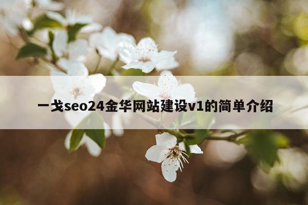 一戈seo24金华网站建设v1的简单介绍