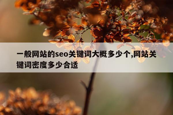 一般网站的seo关键词大概多少个,网站关键词密度多少合适