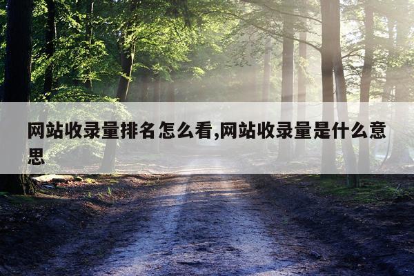 网站收录量排名怎么看,网站收录量是什么意思