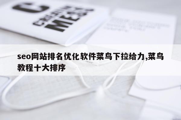 seo网站排名优化软件菜鸟下拉给力,菜鸟教程十大排序