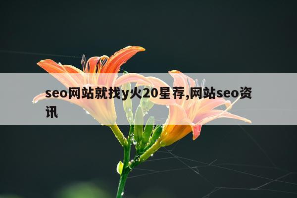 seo网站就找y火20星荐,网站seo资讯