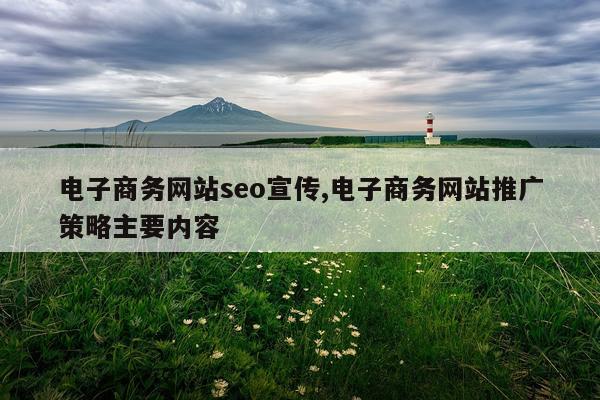 电子商务网站seo宣传,电子商务网站推广策略主要内容