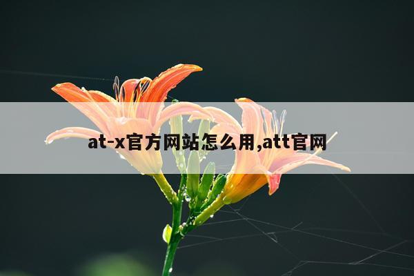 at-x官方网站怎么用,att官网