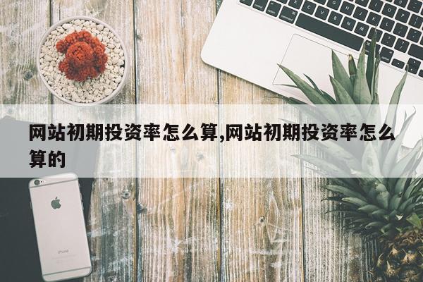 网站初期投资率怎么算,网站初期投资率怎么算的