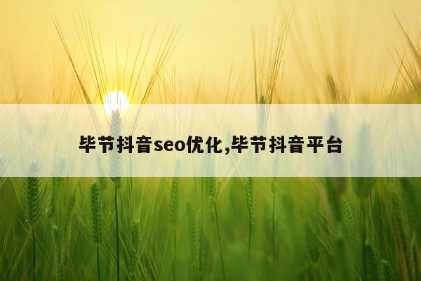毕节抖音seo优化,毕节抖音平台