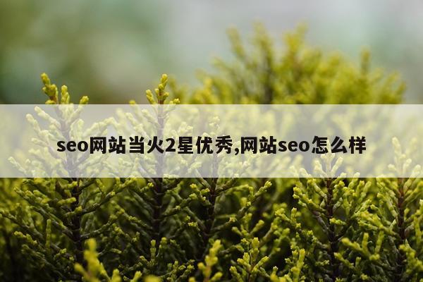 seo网站当火2星优秀,网站seo怎么样
