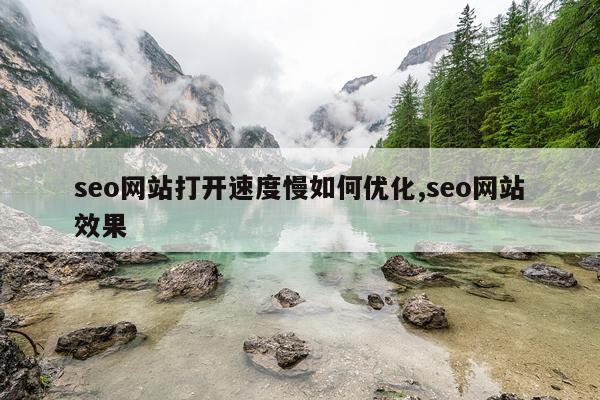 seo网站打开速度慢如何优化,seo网站效果