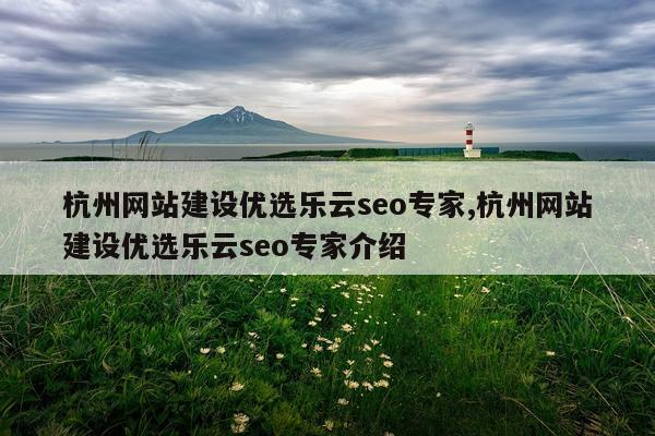 杭州网站建设优选乐云seo专家,杭州网站建设优选乐云seo专家介绍