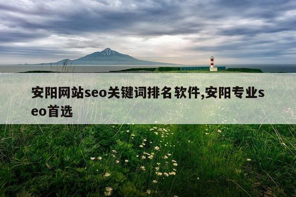 安阳网站seo关键词排名软件,安阳专业seo首选