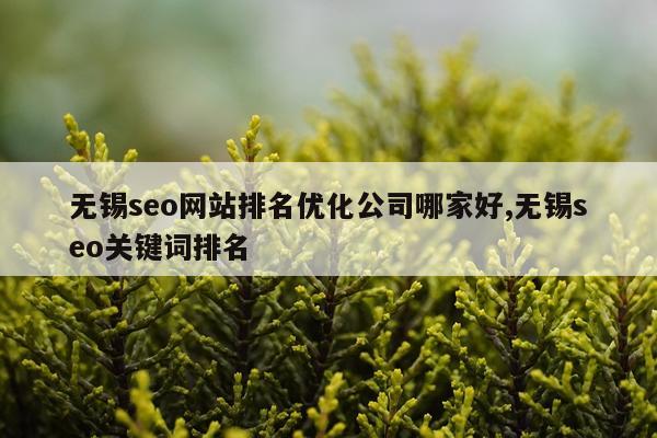 无锡seo网站排名优化公司哪家好,无锡seo关键词排名