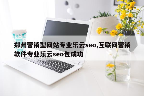 郑州营销型网站专业乐云seo,互联网营销软件专业乐云seo包成功