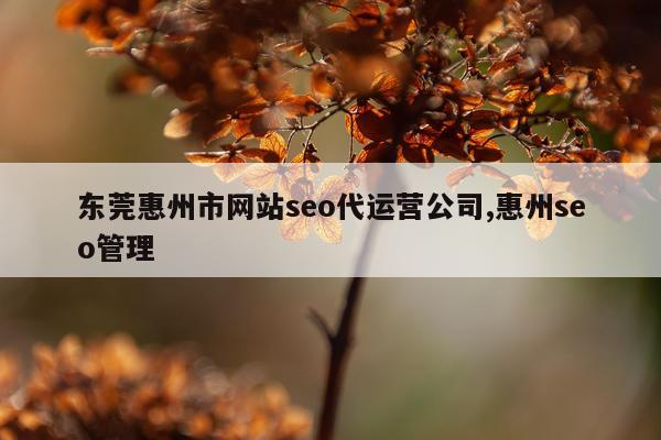 东莞惠州市网站seo代运营公司,惠州seo管理