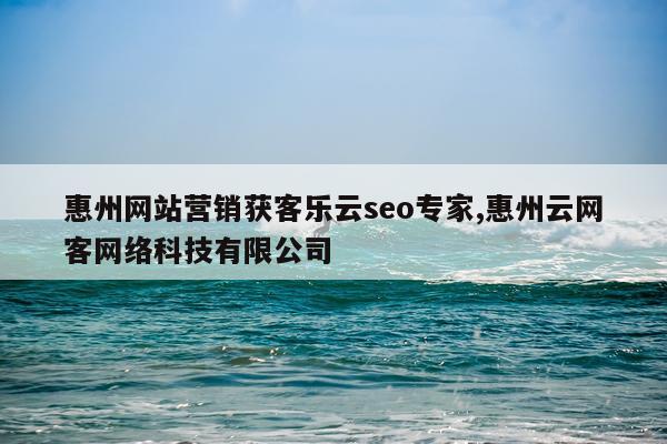 惠州网站营销获客乐云seo专家,惠州云网客网络科技有限公司