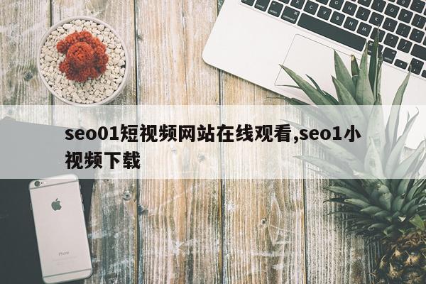 seo01短视频网站在线观看,seo1小视频下载