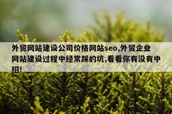 外贸网站建设公司价格网站seo,外贸企业网站建设过程中经常踩的坑,看看你有没有中招!