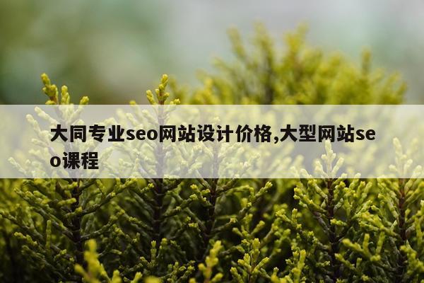 大同专业seo网站设计价格,大型网站seo课程
